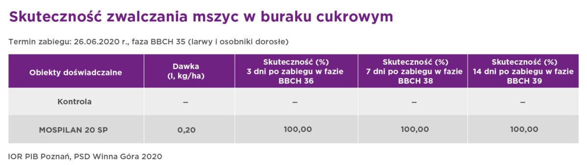 mospilan w buraku cukrowym