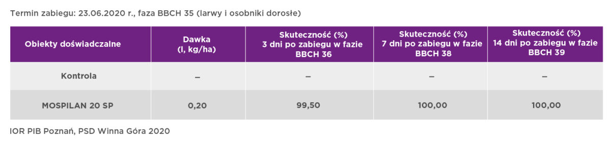 mospilan w buraku cukrowym