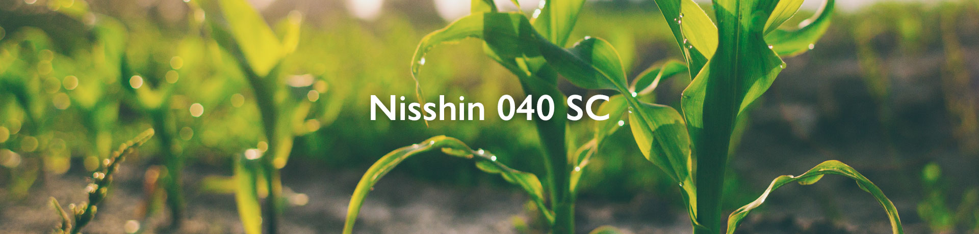 nisshin 040 sc