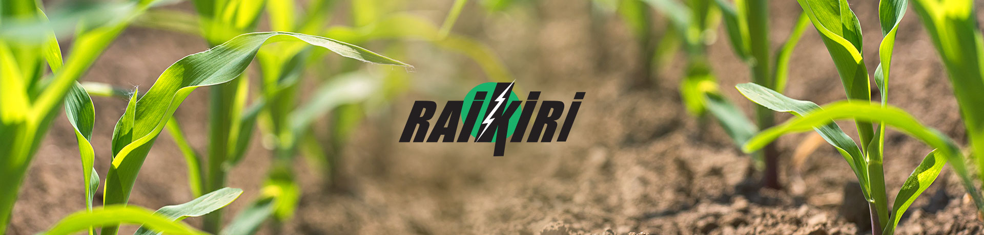 raikiri 100 sc