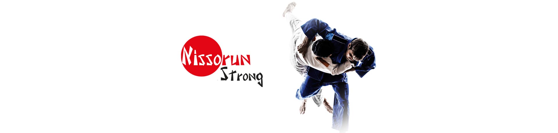 nissorun strong 250 sc