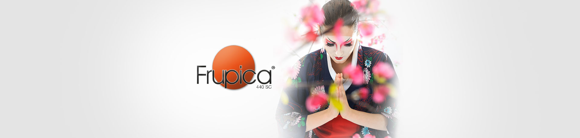 Frupica 440 SC