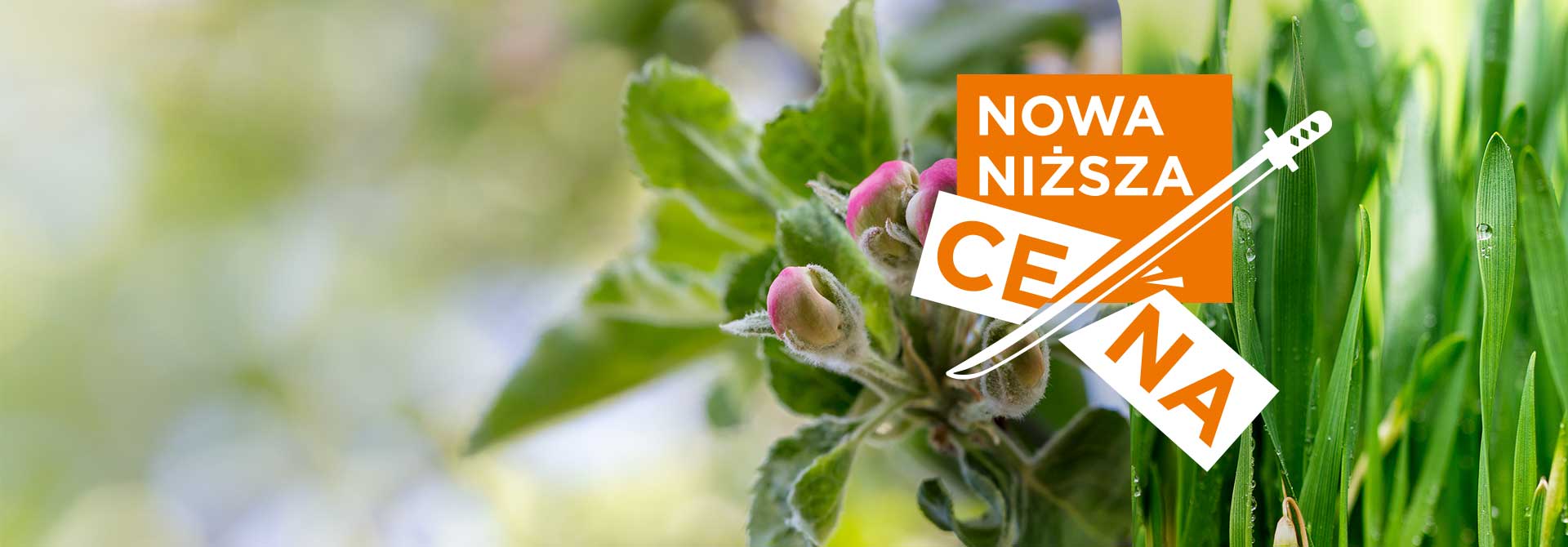 Fungicyd Kendo 50 EW