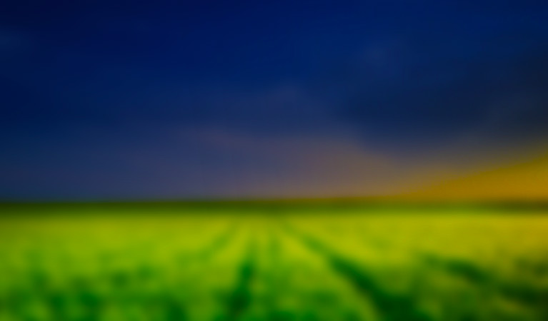 Twoje wyzwania w polu –