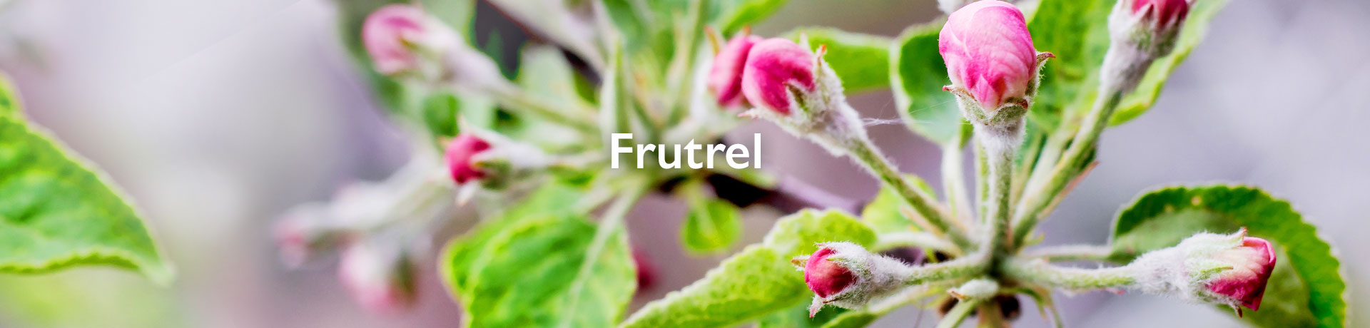 frutrel