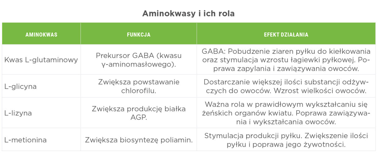 kinactiv initial