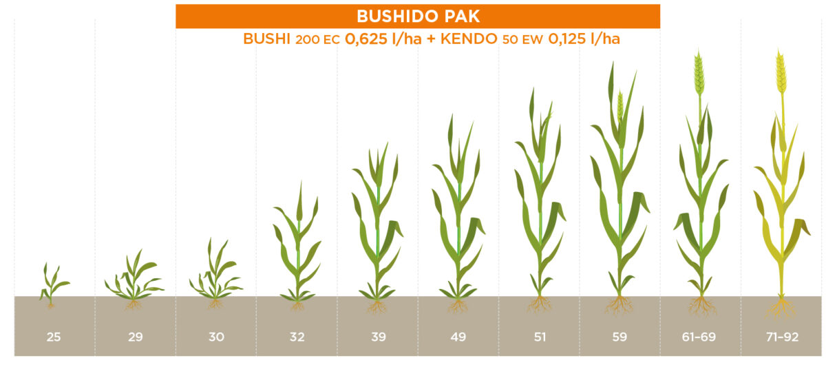 bushido pak stosowanie