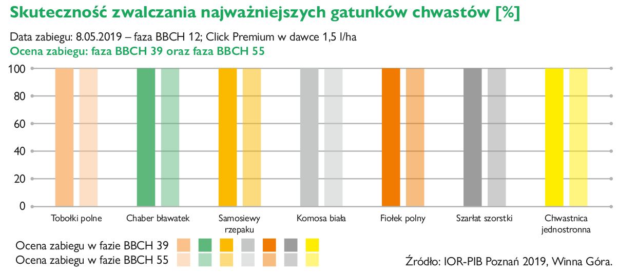 click premium działanie