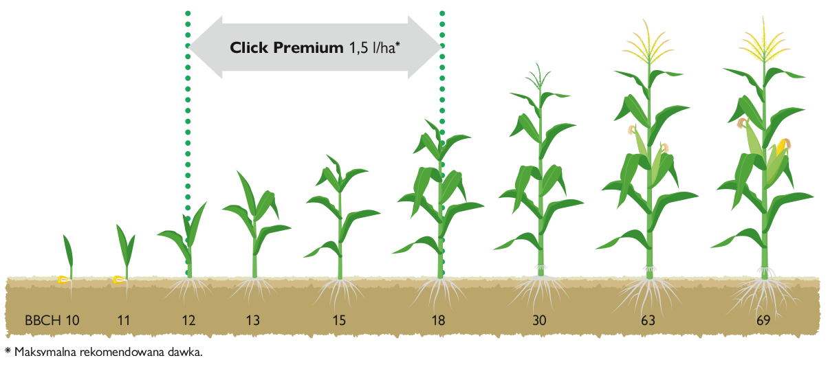 stosowanie click premium bbch