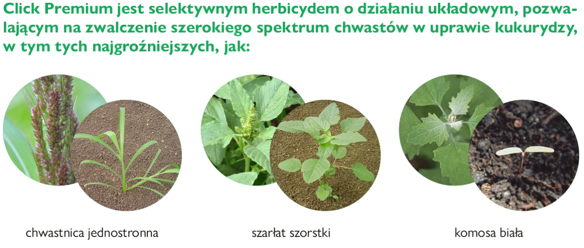 Click Premium - Sumi Agro