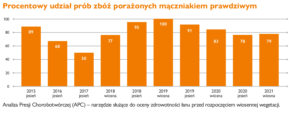 porażenie mączniakiem