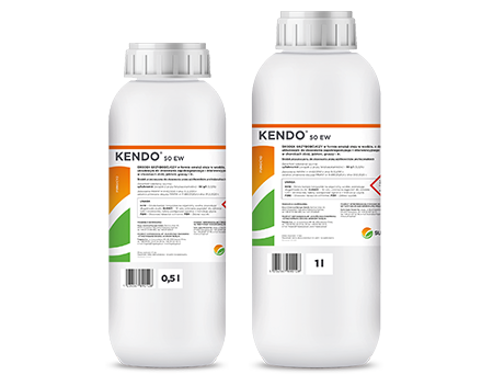 Kendo 50 EW