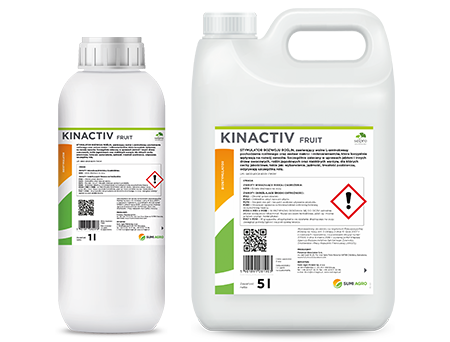 Kinactiv Fruit