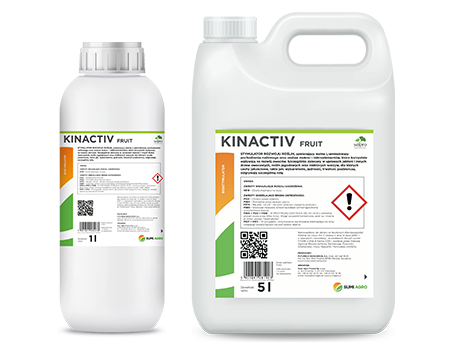 Kinactiv Fruit