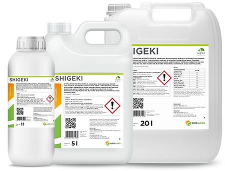 Shigeki