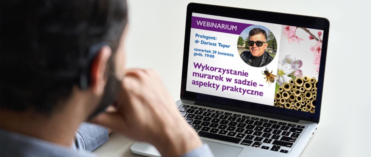 Webinar: Wykorzystanie murarek w sadzie – aspekty praktyczne