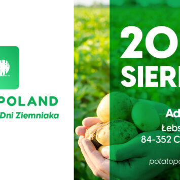 potato poland
