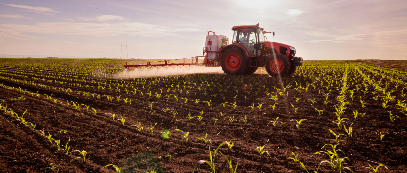 Tractor spraying young corn with pesticides