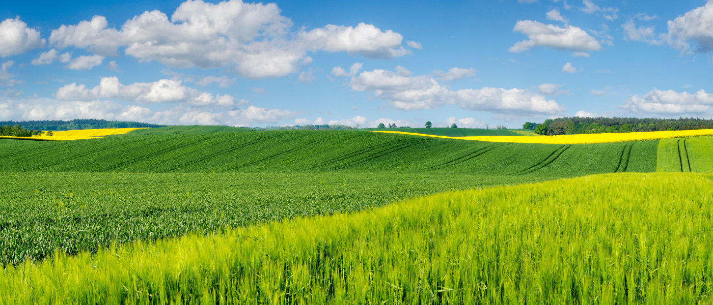 Biostymulatory – wymierne wsparcie rozwoju roślin