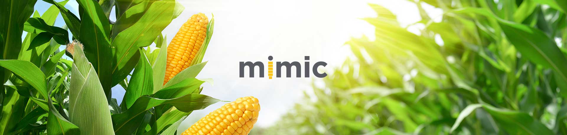 mimic