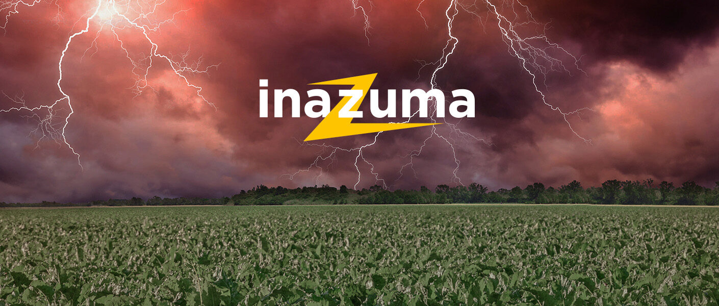 Insektycyd na skośnika buraczaka? Inazuma 130 WG!