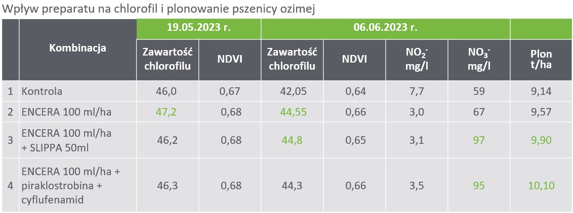 Wpływ preparatu na chlorofil i plonowanie pszenicy ozimej