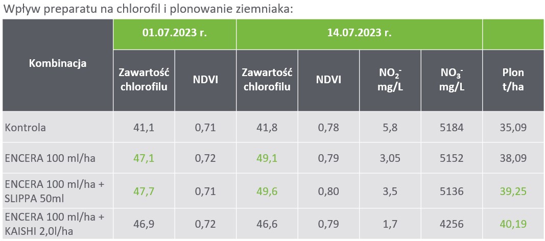 Wpływ preparatu na chlorofil i plonowanie ziemniaka