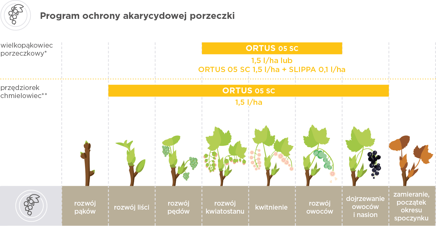 ochrona akarycydowa porzeczki
