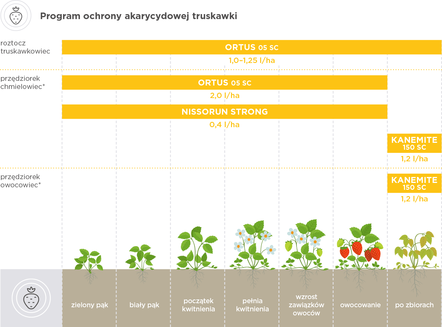ochrona akarycydowa truskawki