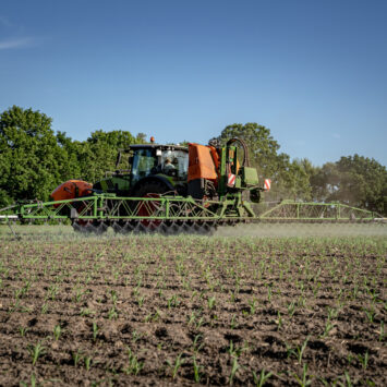 oprysk na chwasty kukurydzy