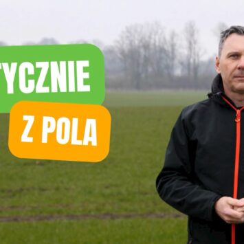 Zwalczanie chwastów dwuliściennych w zbożach wiosną