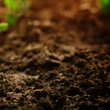 Encera w pytaniach i odpowiedziach