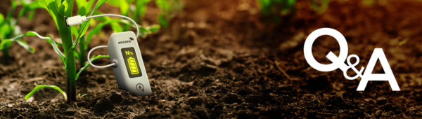 Encera w pytaniach i odpowiedziach