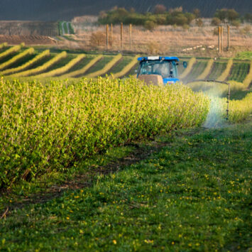 Długotrwała ochrona roślin jagodowych przed szkodnikami
