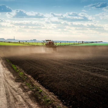 przedwschodowe odchwaszczanie kukurydzy