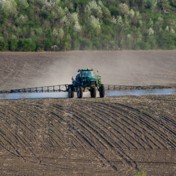 herbicydy doglebowe w kukurydzy