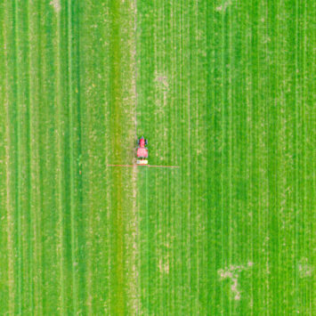 Powschodowe zwalczanie chwastów w zbożach
