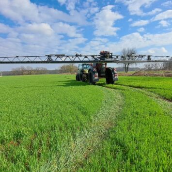 Ciągnik na polu, wykonujący oprysk fungicydowy pszenicy
