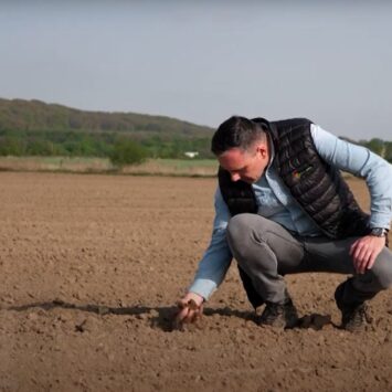 Doglebowe odchwaszczanie kukurydzy