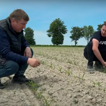 Herbicyd Click Premium opinia