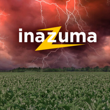 Insektycyd na buraki cukrowe – nowe narzędzie dla plantatorów